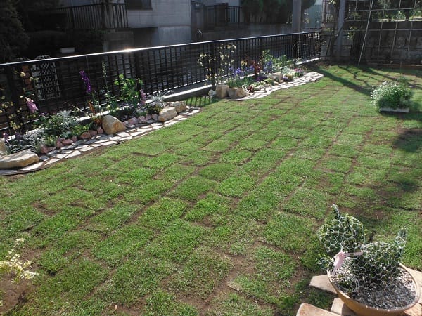 広い芝生と花壇のイングリッシュガーデン