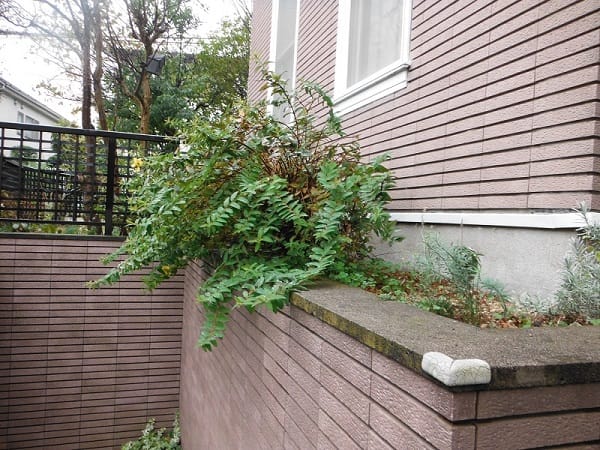 広い芝生と花壇のイングリッシュガーデン 施工前の様子