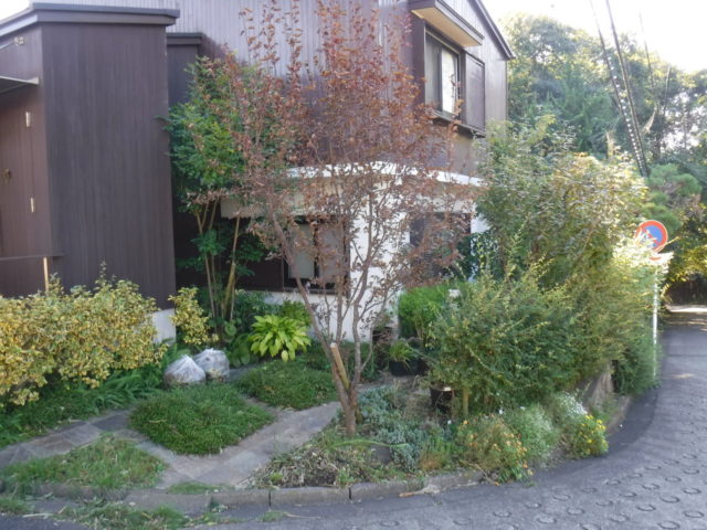お庭の手入れ　その5 施工前の様子