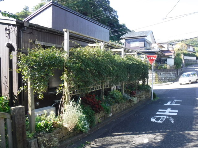 お庭の手入れ　その5 施工前の様子