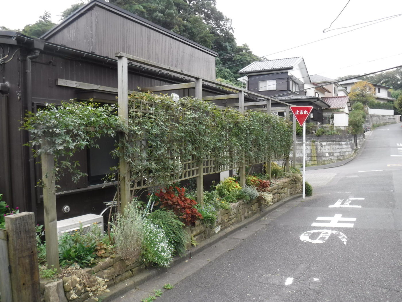 お庭の手入れ　その5