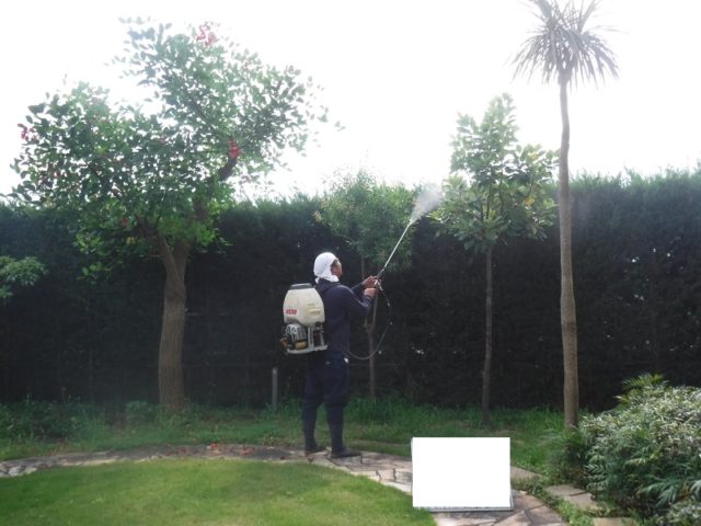 マンション緑地年間管理　その3 施工中の様子