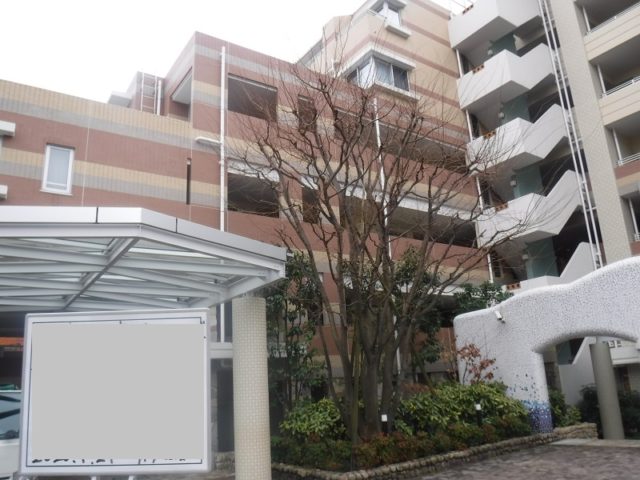 マンション緑地年間管理　その2 施工前の様子