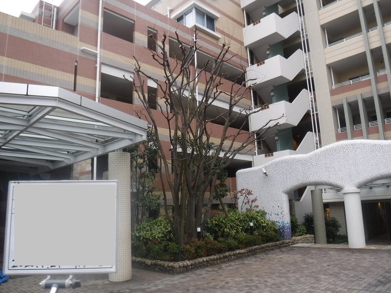 マンション緑地年間管理　その2