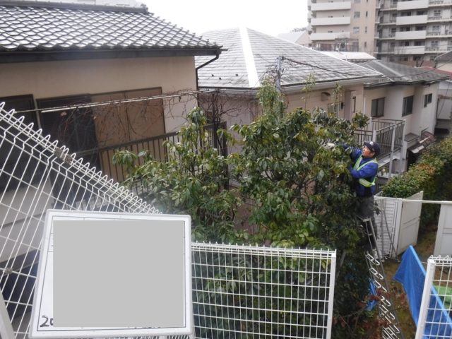 マンション緑地年間管理　その2 施工中の様子