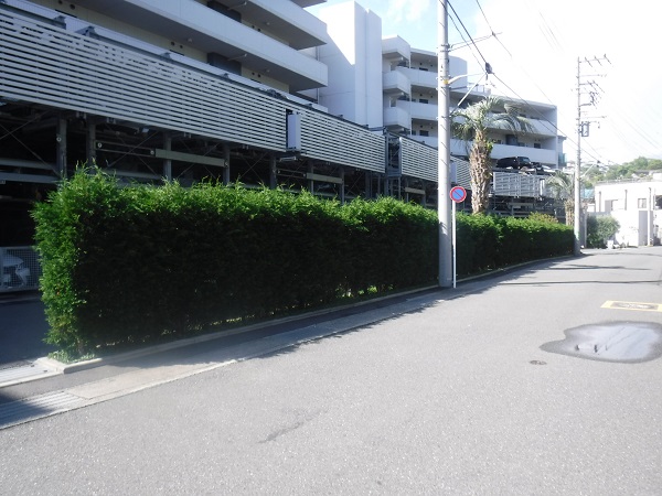 マンション緑地年間管理　その3 施工前の様子