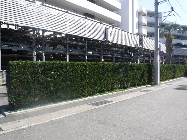 マンション緑地年間管理　その3