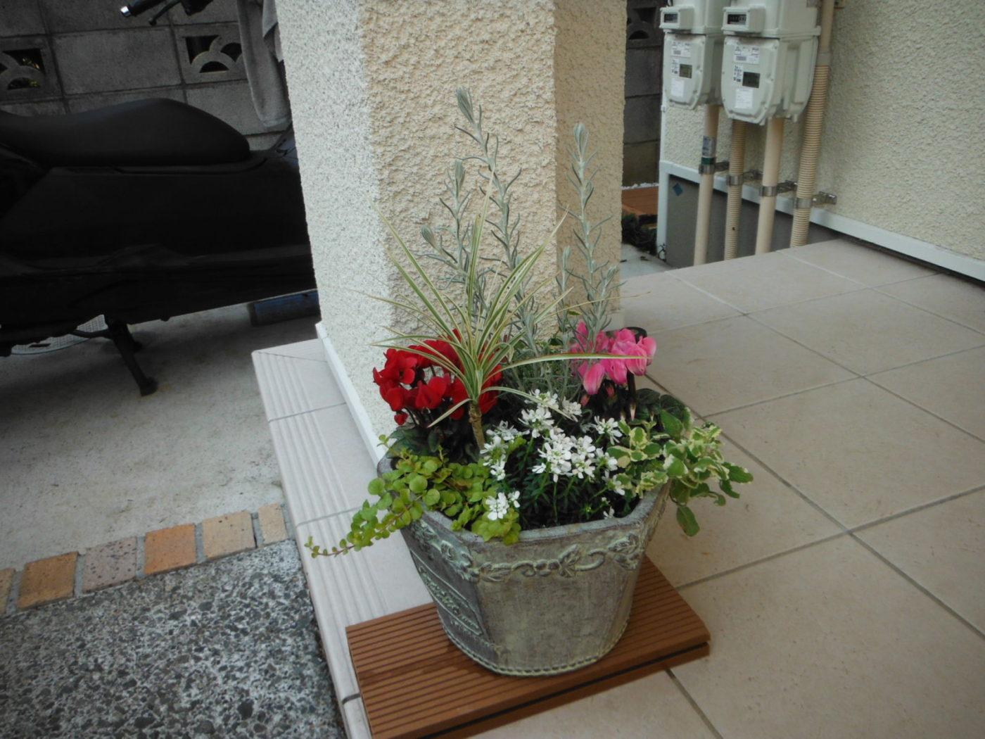 新築のきれいな御宅に合わせた明るいお庭