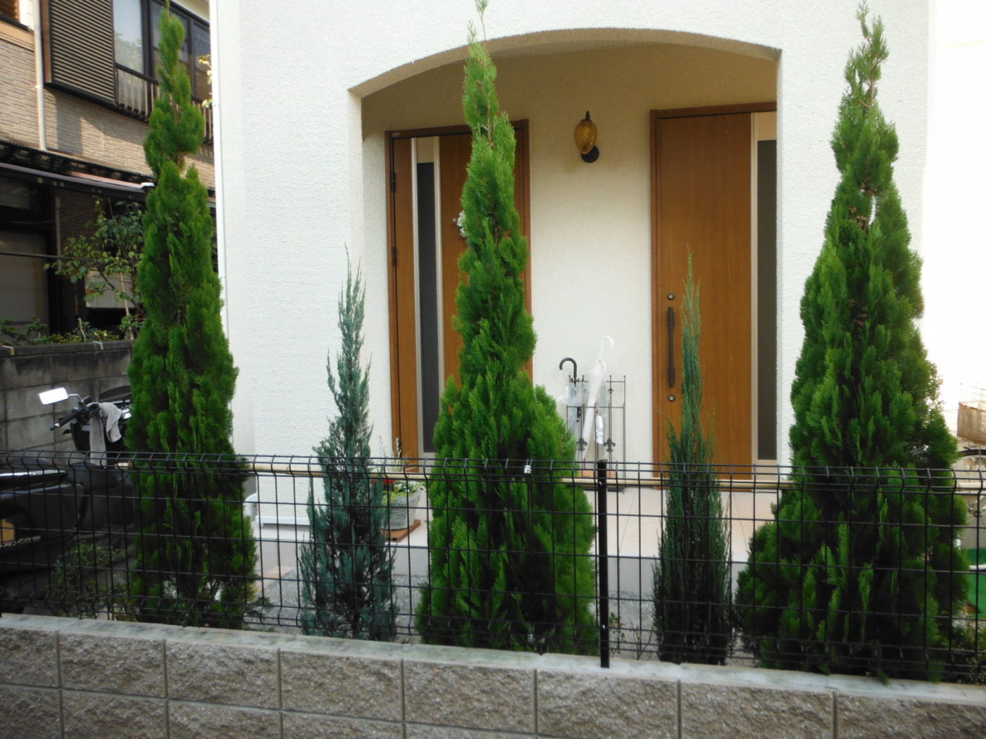 新築のきれいな御宅に合わせた明るいお庭