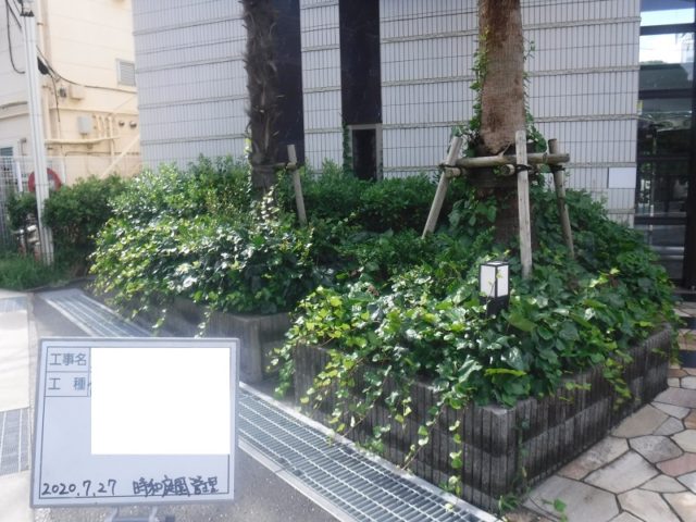 マンション緑地年間管理　その1 施工前の様子