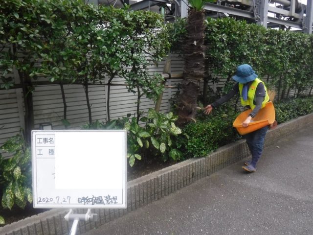 マンション緑地年間管理　その1 施工中の様子