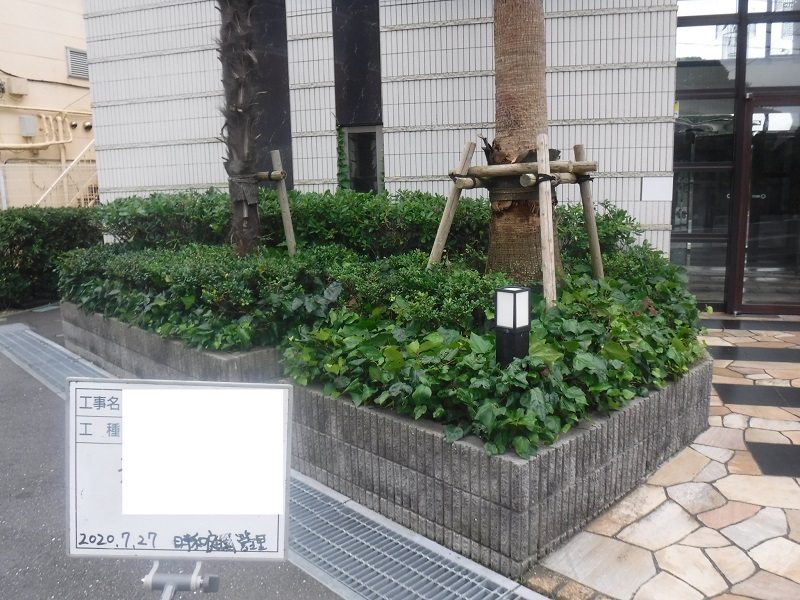 マンション緑地年間管理　その1