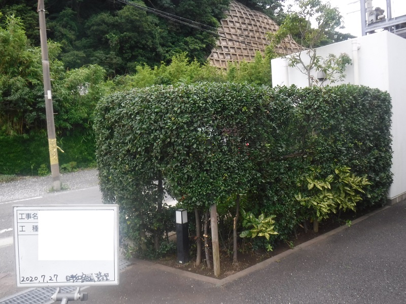 マンション緑地年間管理　その1