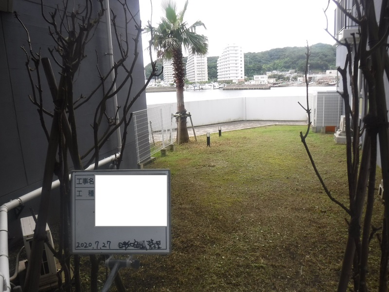 マンション緑地年間管理　その1