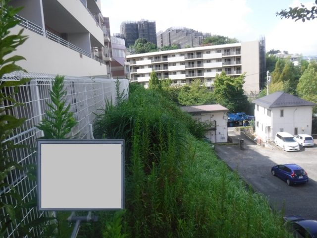 マンション緑地年間管理　その2 施工前の様子