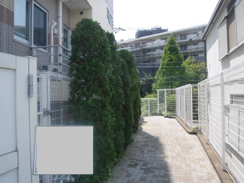 マンション緑地年間管理　その2