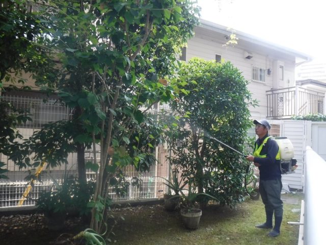 マンション緑地年間管理　その2 施工中の様子