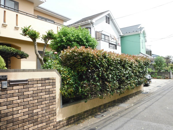 想い入れのある庭木を活かして和洋ミックス庭園 施工前の様子