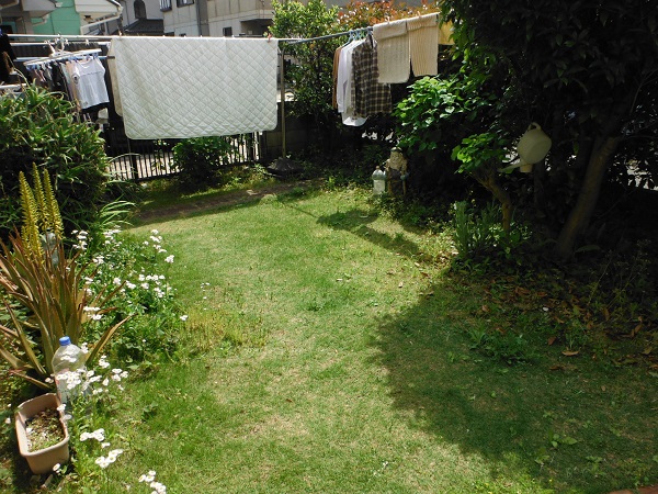 想い入れのある庭木を活かして和洋ミックス庭園 施工前の様子