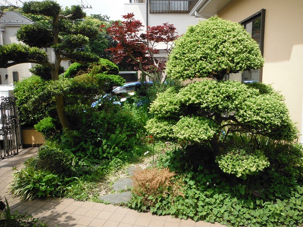 想い入れのある庭木を活かして和洋ミックス庭園 施工前の様子