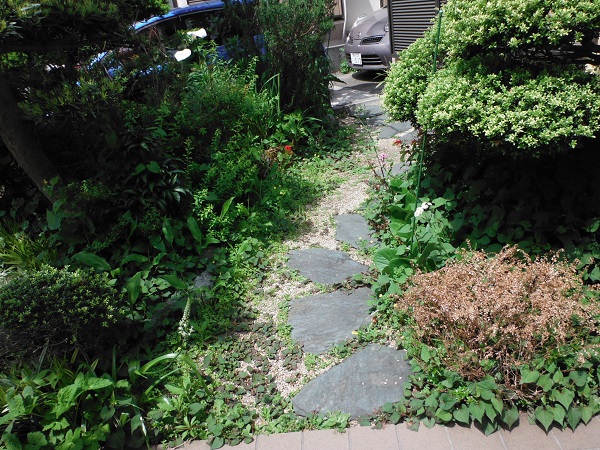 想い入れのある庭木を活かして和洋ミックス庭園 施工前の様子