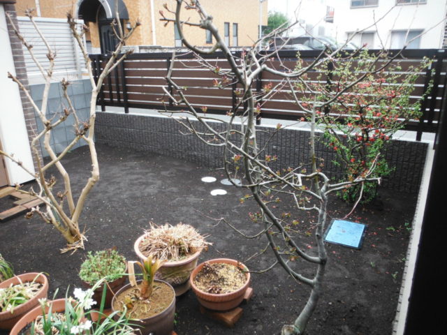 石畳のかわいいお庭 施工前の様子