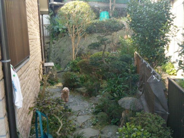 和風庭園の改修工事 施工前の様子